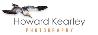 Howard Kearley Photography